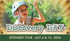 Discovery Day